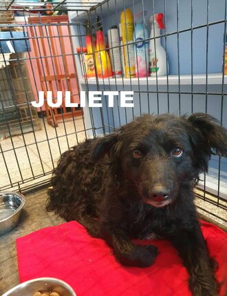 juliete-jenni-p