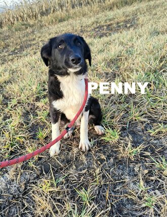 5823207178354804261074524456103159601366863n