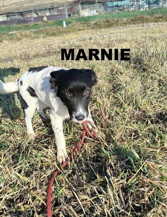 58264432314070442174573269186352143927883243n