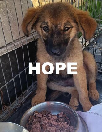 hope-lisa-b