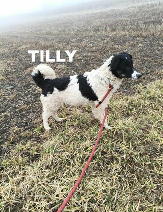 58195961624880418382795358291651401909758786n