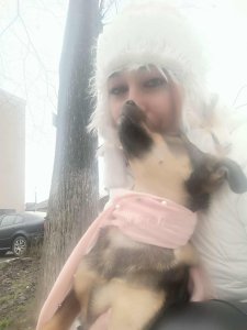 JÁNOS AVAILABLE TO ADOPT