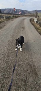 RICHIE AVAILABLE TO ADOPT