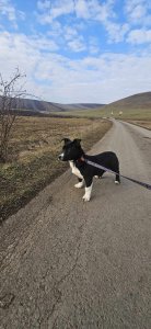 RICHIE AVAILABLE TO ADOPT