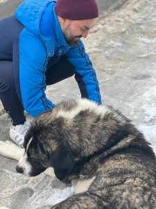 STORM is AVAILABLE TO ADOPT