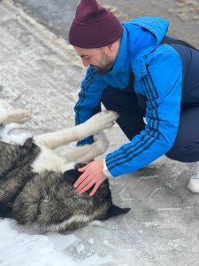 STORM is AVAILABLE TO ADOPT