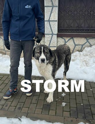 610655775250833419546813482447602469125206792n