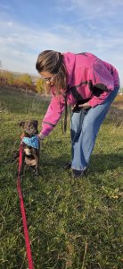 BROWNIE AVAILABLE TO ADOPT