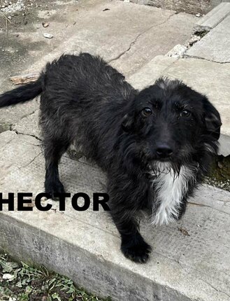 407db19b-1567-46cf-ac1b-b4de1ac01dd4