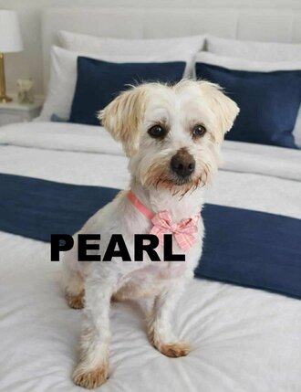 6274780899080033086116114906821556366804946n