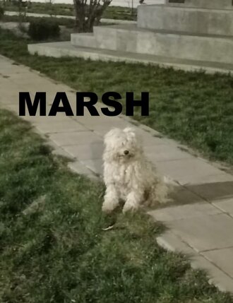 657677441269109292218237517379549885552608875n---copy