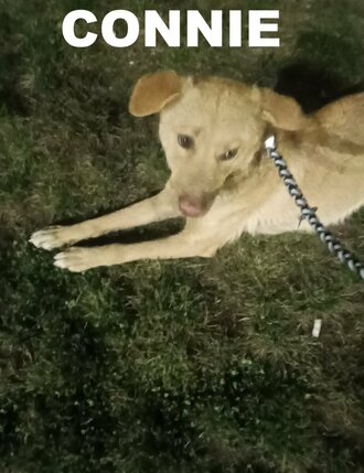 65723583215105520071025137978454080593392754n