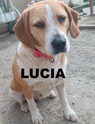 65023449616201979990286292395543265661321103n---copy