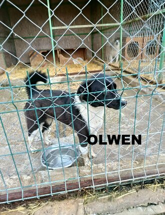 64531033613596601428616637900724085590584368n