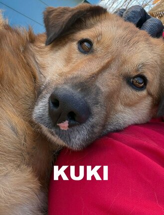 6607766357889900639705595976389564243887958n---copy