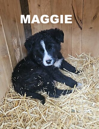 667365333139344665281634569926224368801422n