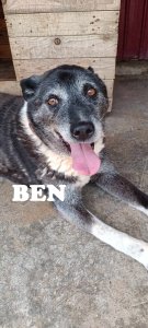 BEN