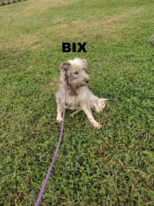 BIX