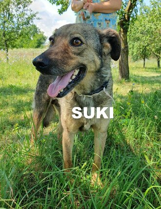 suki-lesley-c